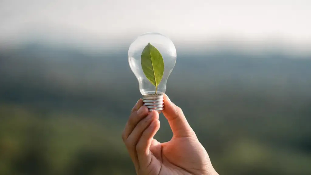 Innovation responsable : une main tient une ampoule verte